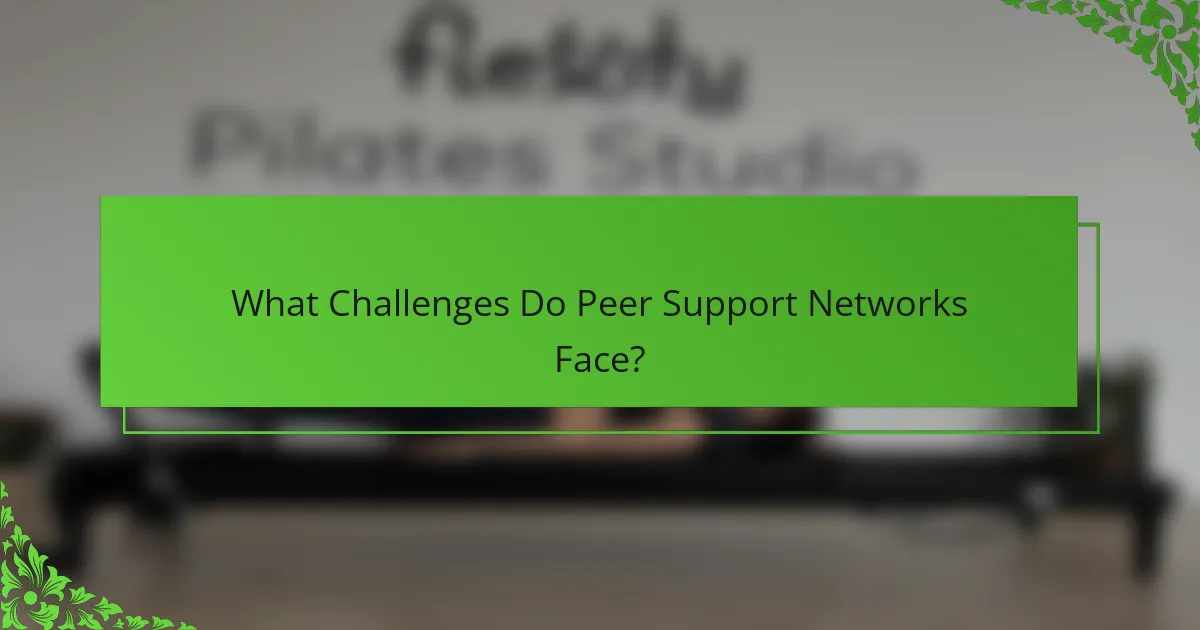 What Challenges Do Peer Support Networks Face?