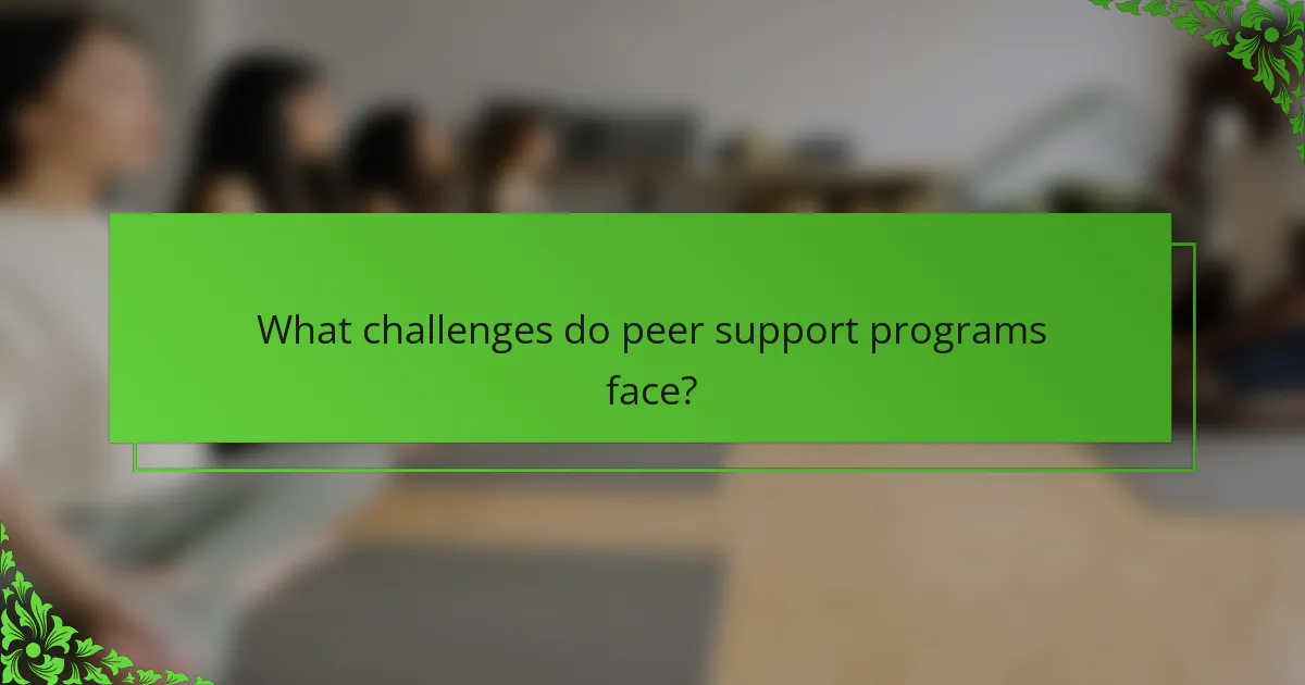 What challenges do peer support programs face?