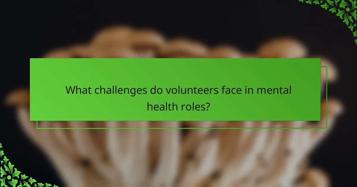 What challenges do volunteers face in mental health roles?
