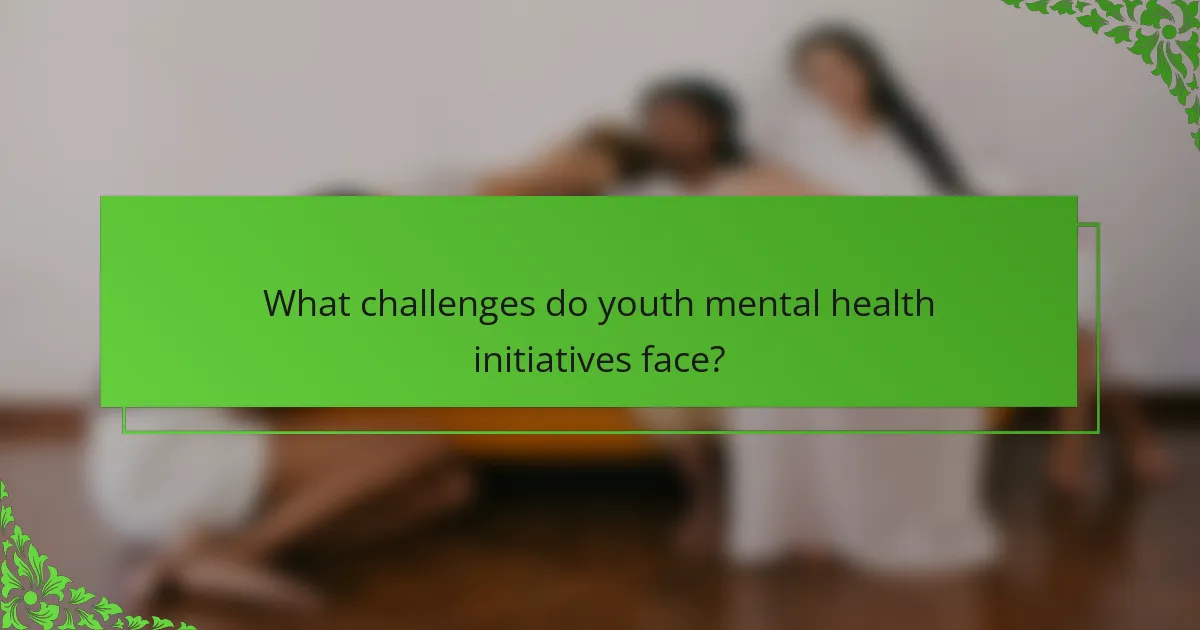 What challenges do youth mental health initiatives face?