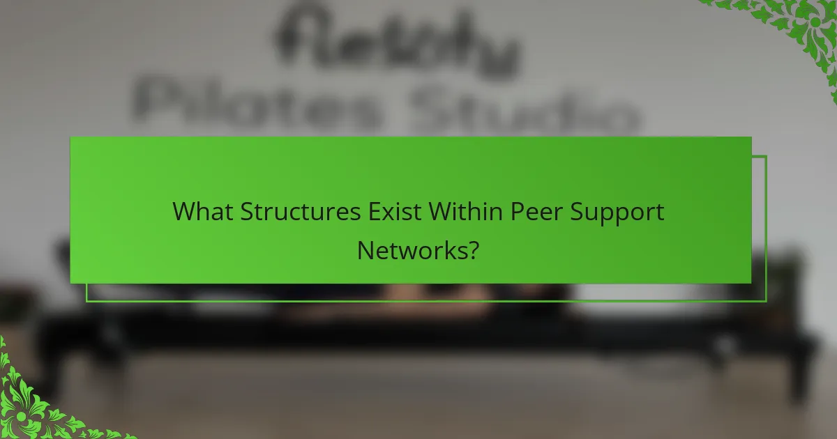 What Structures Exist Within Peer Support Networks?