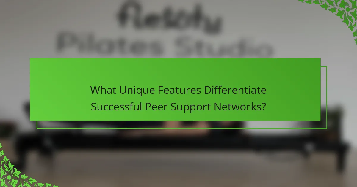 What Unique Features Differentiate Successful Peer Support Networks?