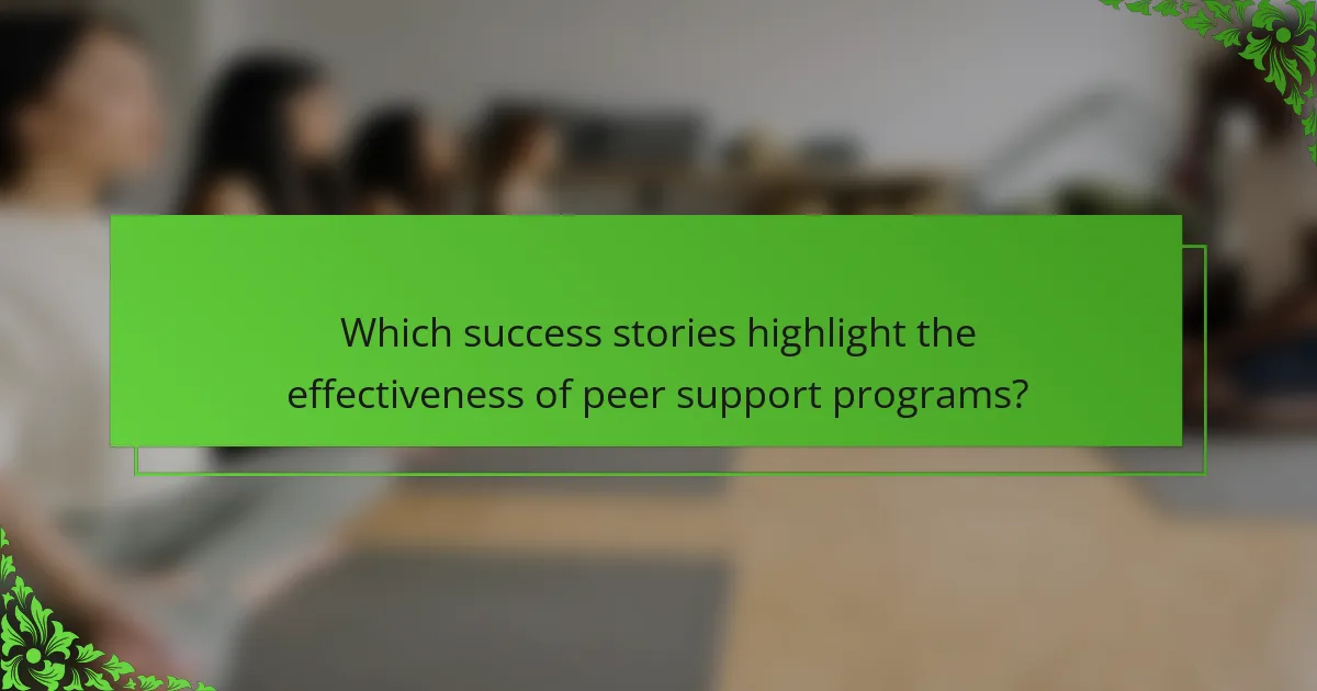 Which success stories highlight the effectiveness of peer support programs?