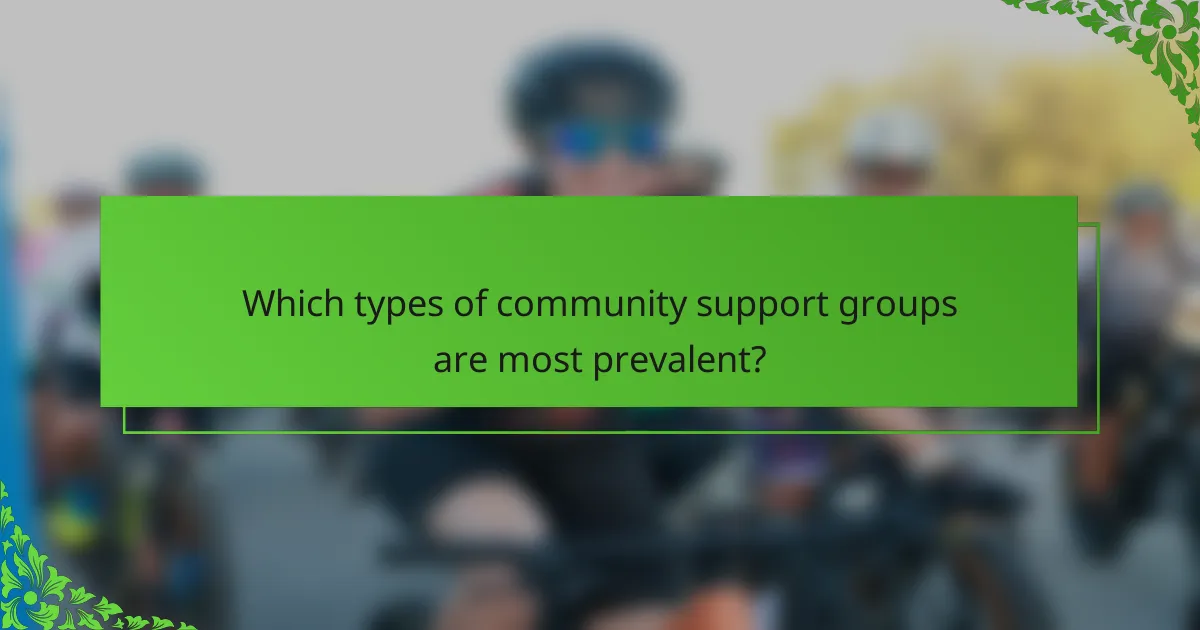 Which types of community support groups are most prevalent?