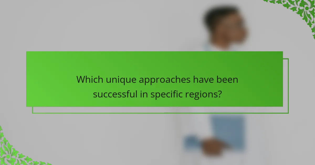 Which unique approaches have been successful in specific regions?